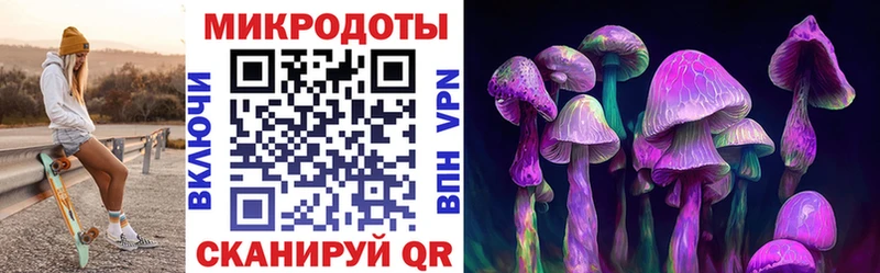 Купить  Каневская  Галлюциногенные грибы мухоморы 
